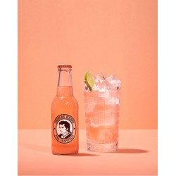 TONIC PINK GRAPEFRUIT 20CL