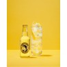 TONIC WATER 20CL